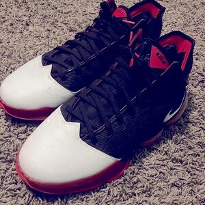 Lebron James Sneakers